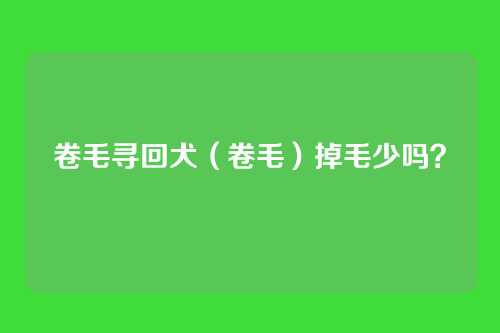 卷毛寻回犬（卷毛）掉毛少吗？