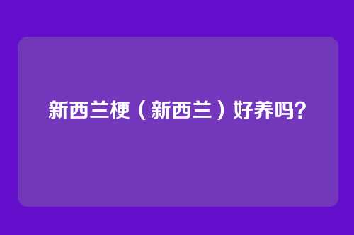 新西兰梗（新西兰）好养吗？