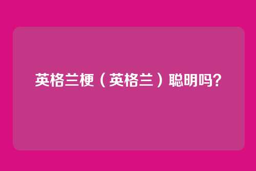 英格兰梗（英格兰）聪明吗？
