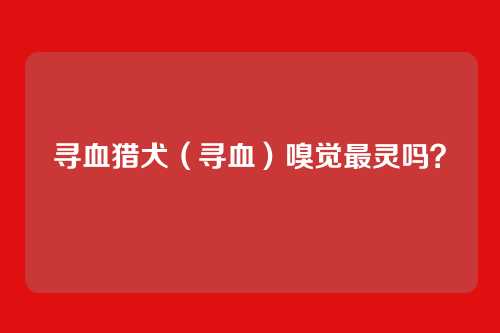 寻血猎犬（寻血）嗅觉最灵吗？