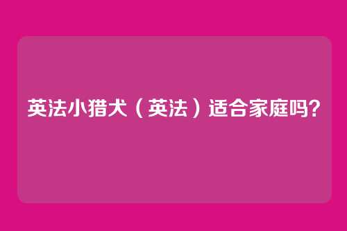 英法小猎犬（英法）适合家庭吗？