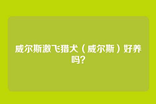 威尔斯激飞猎犬（威尔斯）好养吗？