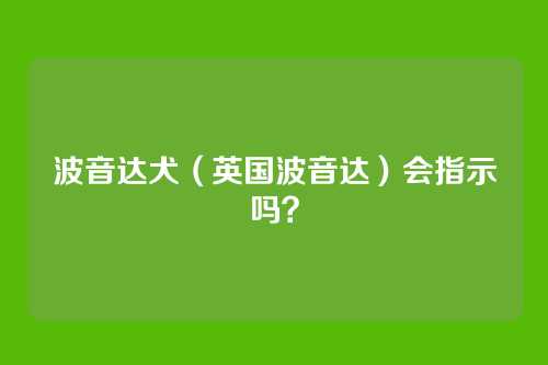 波音达犬（英国波音达）会指示吗？