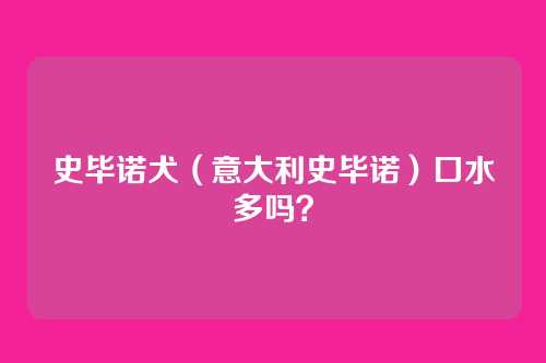 史毕诺犬（意大利史毕诺）口水多吗？