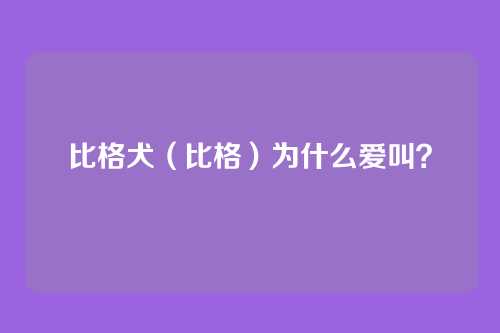 比格犬（比格）为什么爱叫？