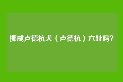 挪威卢德杭犬（卢德杭）六趾吗？