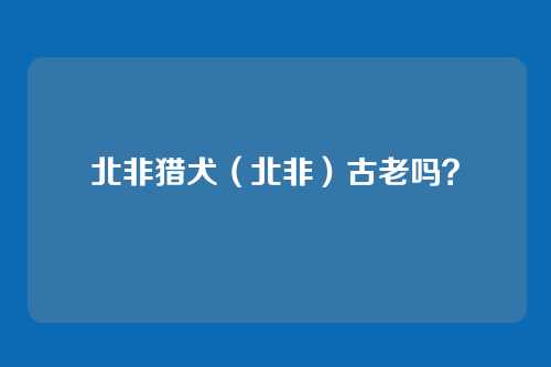 北非猎犬（北非）古老吗？