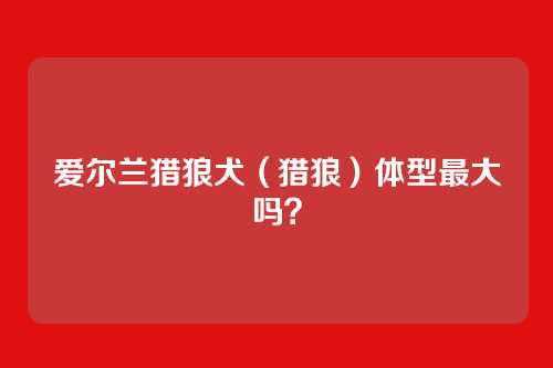 爱尔兰猎狼犬（猎狼）体型最大吗？