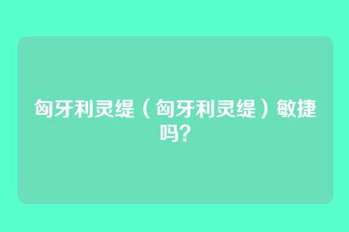 匈牙利灵缇（匈牙利灵缇）敏捷吗？
