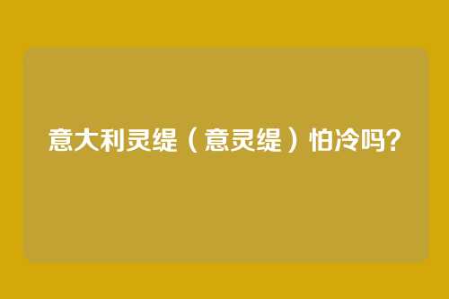 意大利灵缇（意灵缇）怕冷吗？