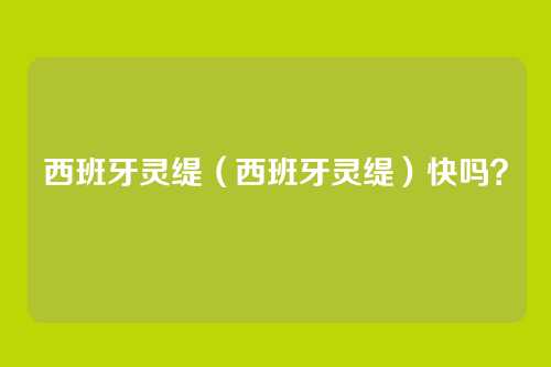 西班牙灵缇（西班牙灵缇）快吗？