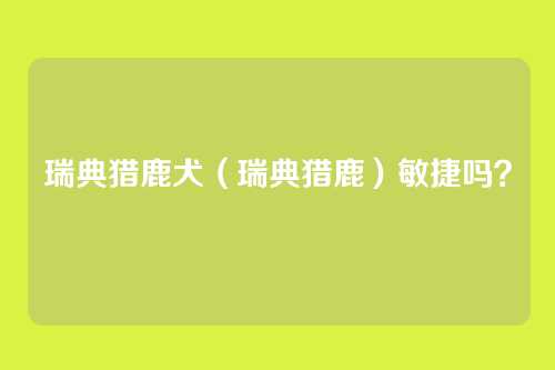瑞典猎鹿犬（瑞典猎鹿）敏捷吗？