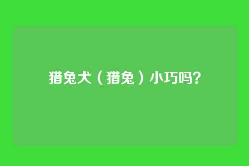 猎兔犬(猎兔)小巧吗?