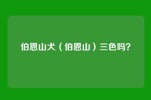 伯恩山犬（伯恩山）三色吗？