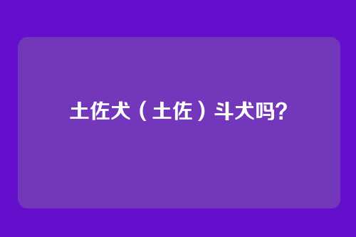 土佐犬（土佐）斗犬吗？