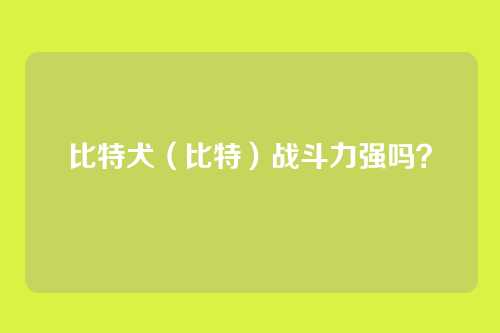 比特犬（比特）战斗力强吗？