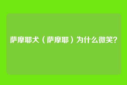萨摩耶犬（萨摩耶）为什么微笑？