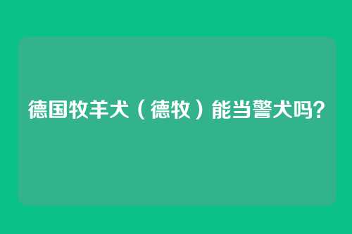 德国牧羊犬（德牧）能当警犬吗？