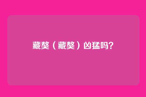 藏獒（藏獒）凶猛吗？