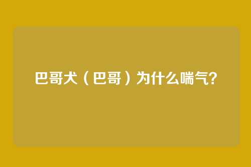 巴哥犬（巴哥）为什么喘气？