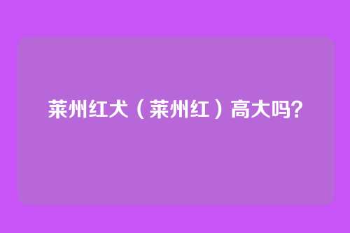 莱州红犬（莱州红）高大吗？