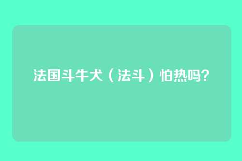 法国斗牛犬（法斗）怕热吗？