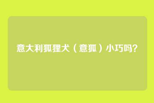 意大利狐狸犬（意狐）小巧吗？