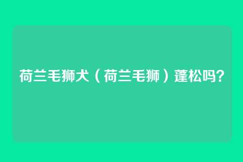 荷兰毛狮犬（荷兰毛狮）蓬松吗？
