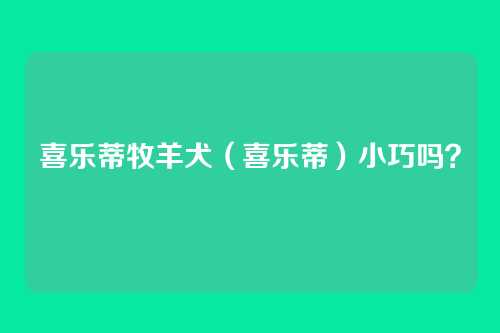 喜乐蒂牧羊犬（喜乐蒂）小巧吗？