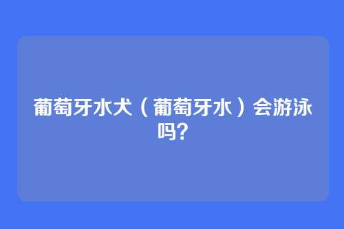 葡萄牙水犬（葡萄牙水）会游泳吗？