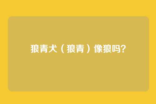 狼青犬（狼青）像狼吗？