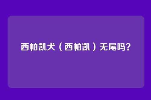 西帕凯犬（西帕凯）无尾吗？