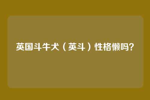英国斗牛犬（英斗）性格懒吗？