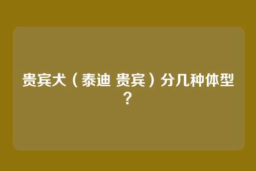 贵宾犬（泰迪 贵宾）分几种体型？