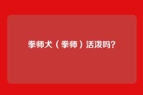 拳师犬（拳师）活泼吗？