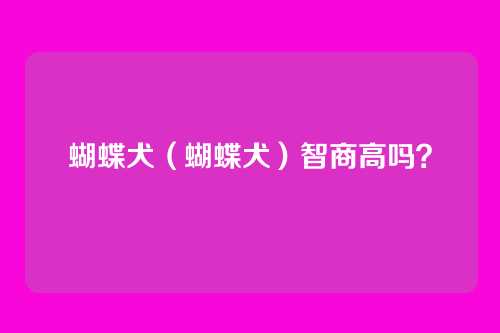 蝴蝶犬（蝴蝶犬）智商高吗？