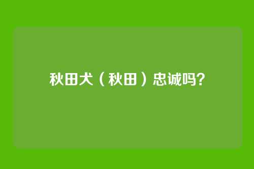 秋田犬（秋田）忠诚吗？