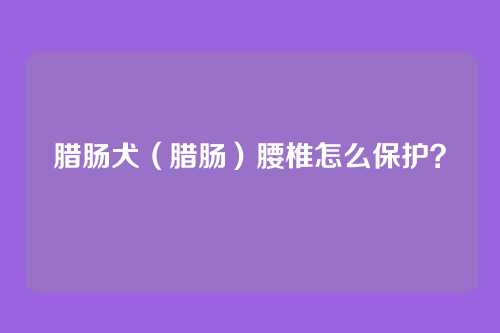 腊肠犬（腊肠）腰椎怎么保护？