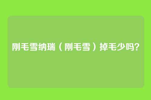 刚毛雪纳瑞（刚毛雪）掉毛少吗？