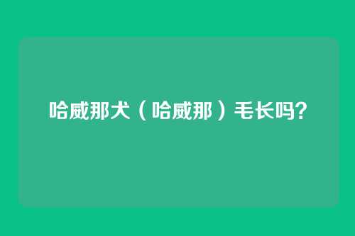 哈威那犬（哈威那）毛长吗？