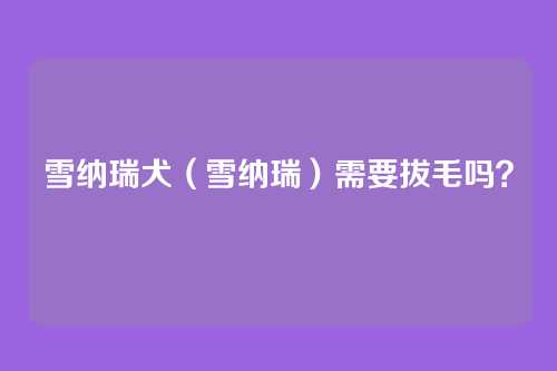 雪纳瑞犬（雪纳瑞）需要拔毛吗？