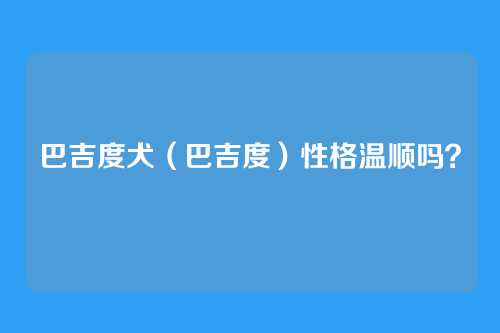 巴吉度犬（巴吉度）性格温顺吗？