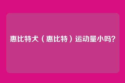 惠比特犬(惠比特)运动量小吗?