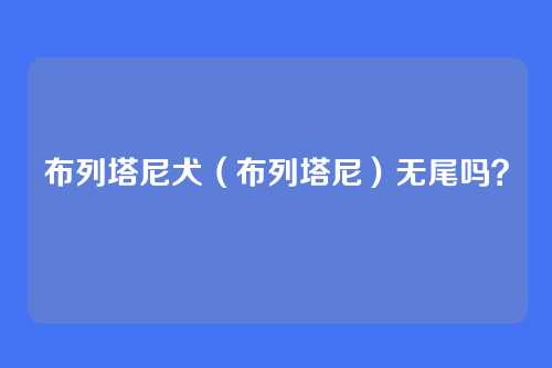 布列塔尼犬（布列塔尼）无尾吗？