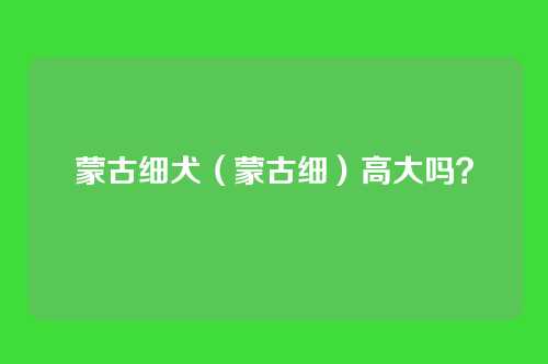 蒙古细犬（蒙古细）高大吗？
