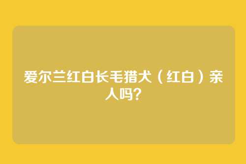 爱尔兰红白长毛猎犬（红白）亲人吗？