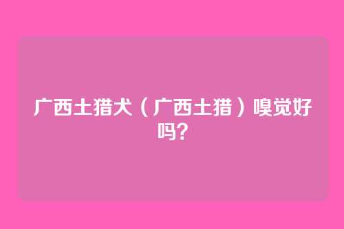广西土猎犬（广西土猎）嗅觉好吗？