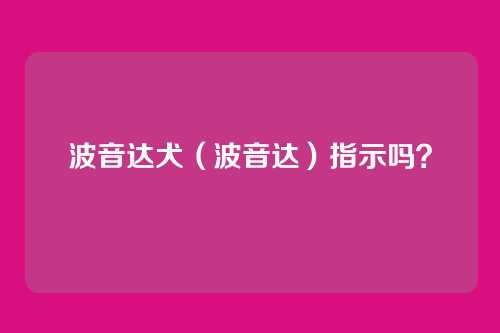 波音达犬（波音达）指示吗？
