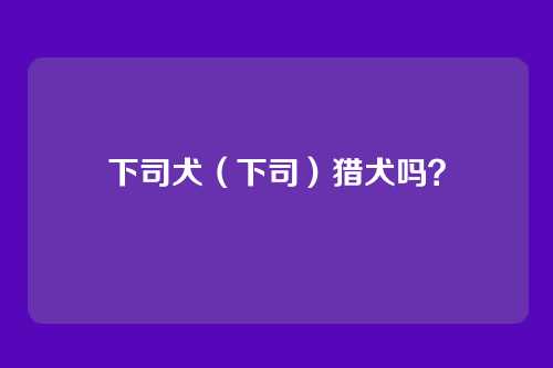 下司犬（下司）猎犬吗？