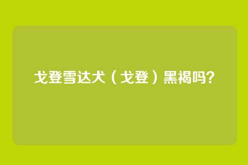 戈登雪达犬（戈登）黑褐吗？